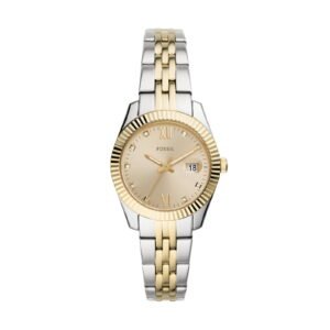 Fossil Stainless Steel Es4949