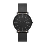 Skagen Leather Skw6902