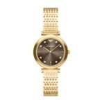 Emporio Armani Watch Ar11810