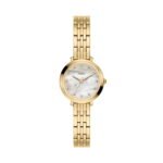 Fossil Watch Es5501