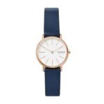 Skagen Signatur Skw2838