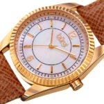 Burgi Quartz Crystal Mother of Pearl Dial Ladies Watch BUR167TN