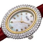 Burgi Crystal White Dial Brown Leather Ladies Watch BUR234RD