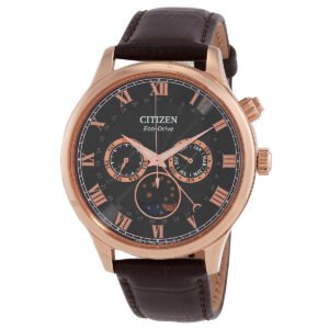 Citizen Moon Phase Eco-Drive Black Dial Men's Watch AP1059-19E