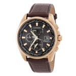 Citizen Perpetual Alarm World Time Eco-Drive GMT Black Dial Men's Watch AT9123-13E