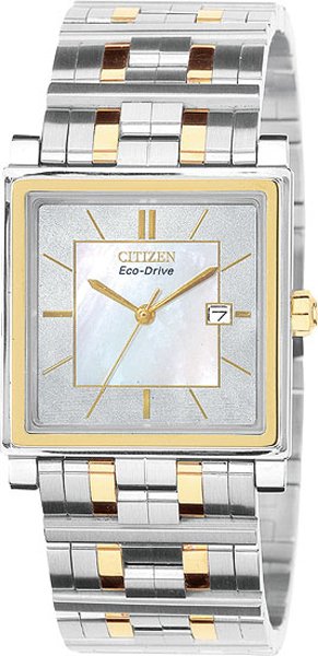Citizen Elektra Men's Watch BW0164-51D