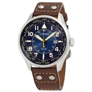 Citizen Promaster Nighthawk Eco-Drive World Time Blue Dial Men's Watch BX1010-11L