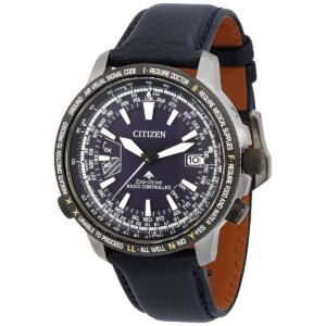 Citizen Promaster Perpetual World Time Blue Dial Men's Watch CB0204-14L