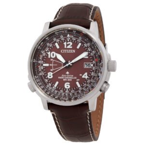 Citizen Promaster Sky Perpetual World Time Brown Dial Men's Watch CB0248-01X