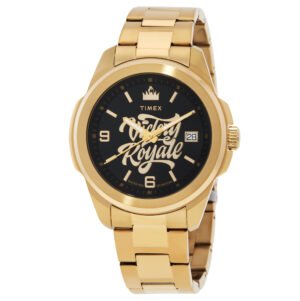 TIMEX X Fortnite Essex Quartz Black Dial Men's Watch TW2Y47200