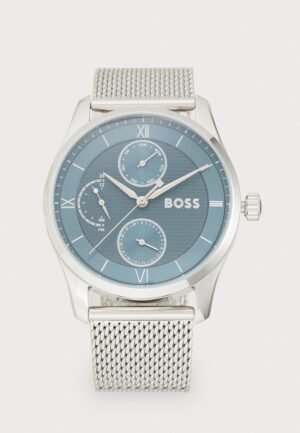 BOSS PRINCIPLE MASTER Watch silver coloured/blue