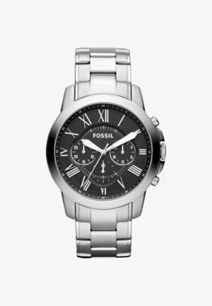 Fossil FS4736 Watch silberfarben
