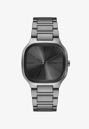 Skagen Watch gray